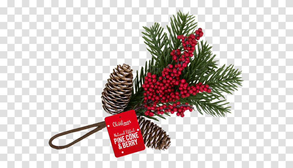 Christmas Pine Cone & Berry Decoration Illustration, Tree, Plant, Conifer, Pineapple Transparent Png