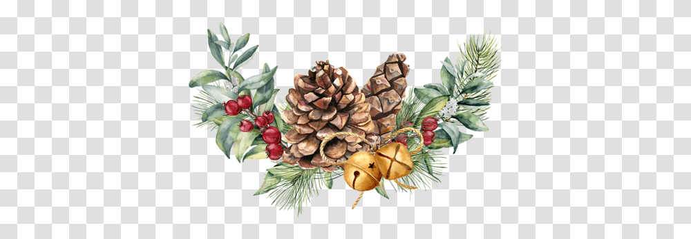 Christmas Pine Cone Watercolor Pinecone, Tree, Plant, Conifer, Larch Transparent Png