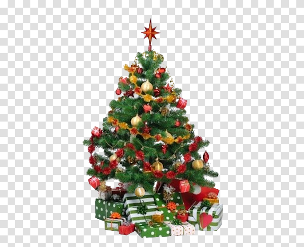 Christmas Pine Cones Christmas Tree Care Beautiful Decorated Christmas Tree Cartoon, Plant, Ornament, Transparent Png