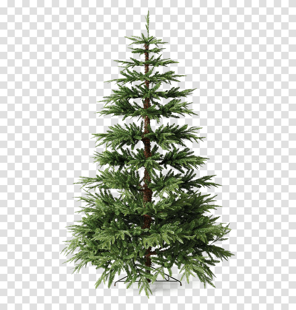 Christmas Pine Tree File Christmas Pine Tree, Christmas Tree, Ornament, Plant, Conifer Transparent Png