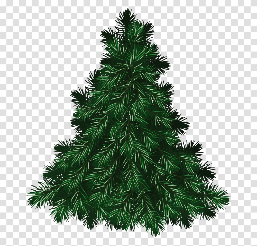 Christmas Pine Tree Free Download Christmas Tree Free, Ornament, Plant Transparent Png