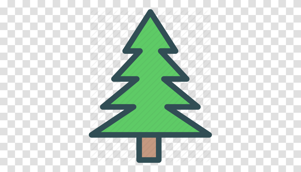 Christmas Pine Tree Icon, Plant, Ornament, Fir, Abies Transparent Png