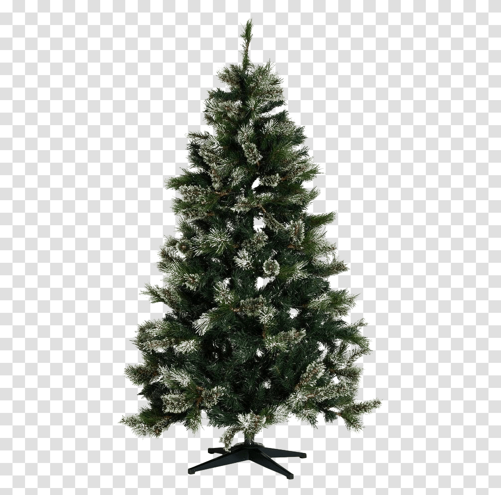 Christmas Pine Tree Pic Real Christmas Tree Plain, Ornament, Plant, Conifer, Fir Transparent Png