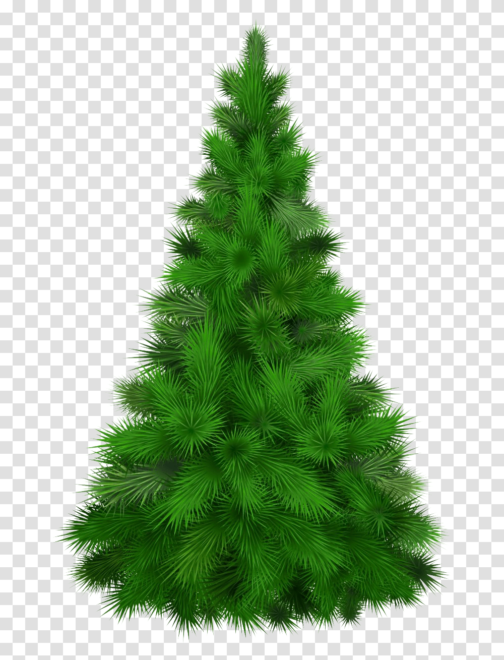 Christmas Pine Tree Pine Tree, Christmas Tree, Ornament, Plant Transparent Png