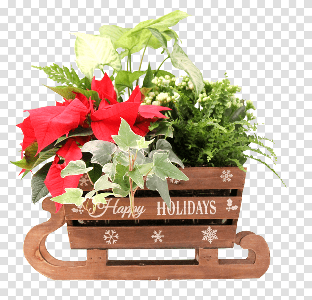 Christmas Planters Poinsettia, Vase, Jar, Pottery, Potted Plant Transparent Png