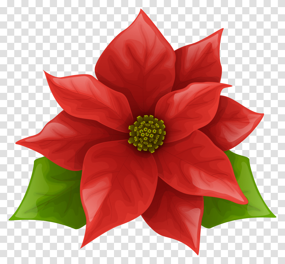 Christmas Poinsettia Clip Art Image Background Transparent Png