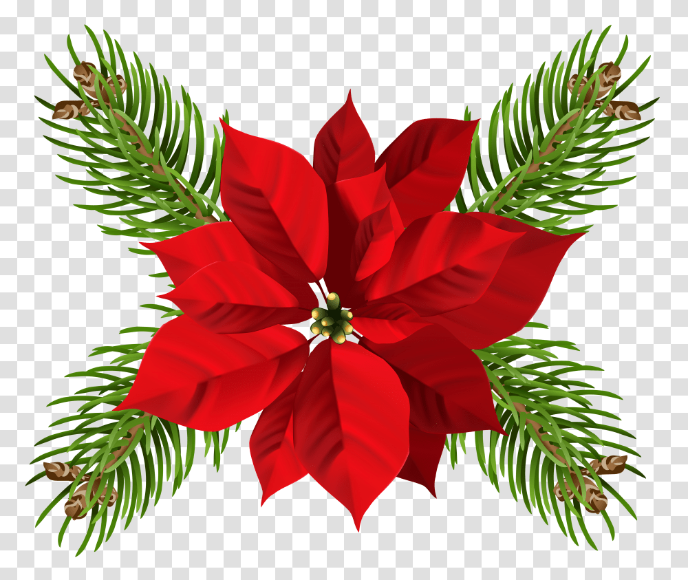 Christmas Poinsettia Clip Gallery Transparent Png