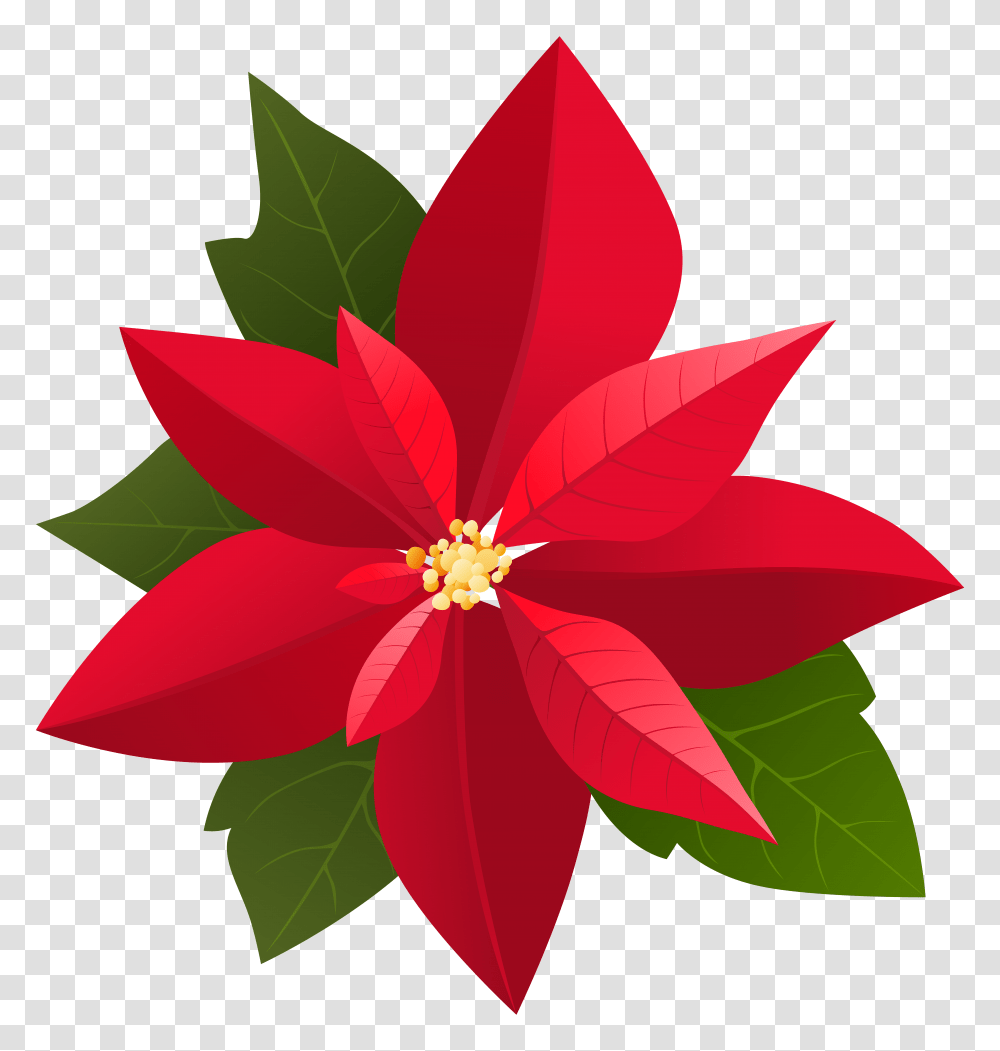 Christmas Poinsettia Clip, Plant, Leaf, Petal, Flower Transparent Png