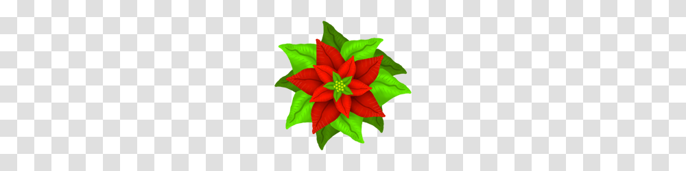 Christmas Poinsettia, Green, Floral Design Transparent Png