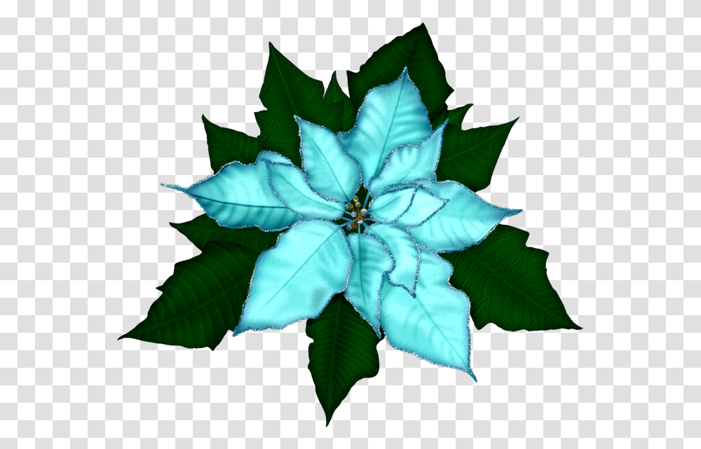 Christmas Poinsettia Poinsettia, Leaf, Plant, Ornament, Pattern Transparent Png