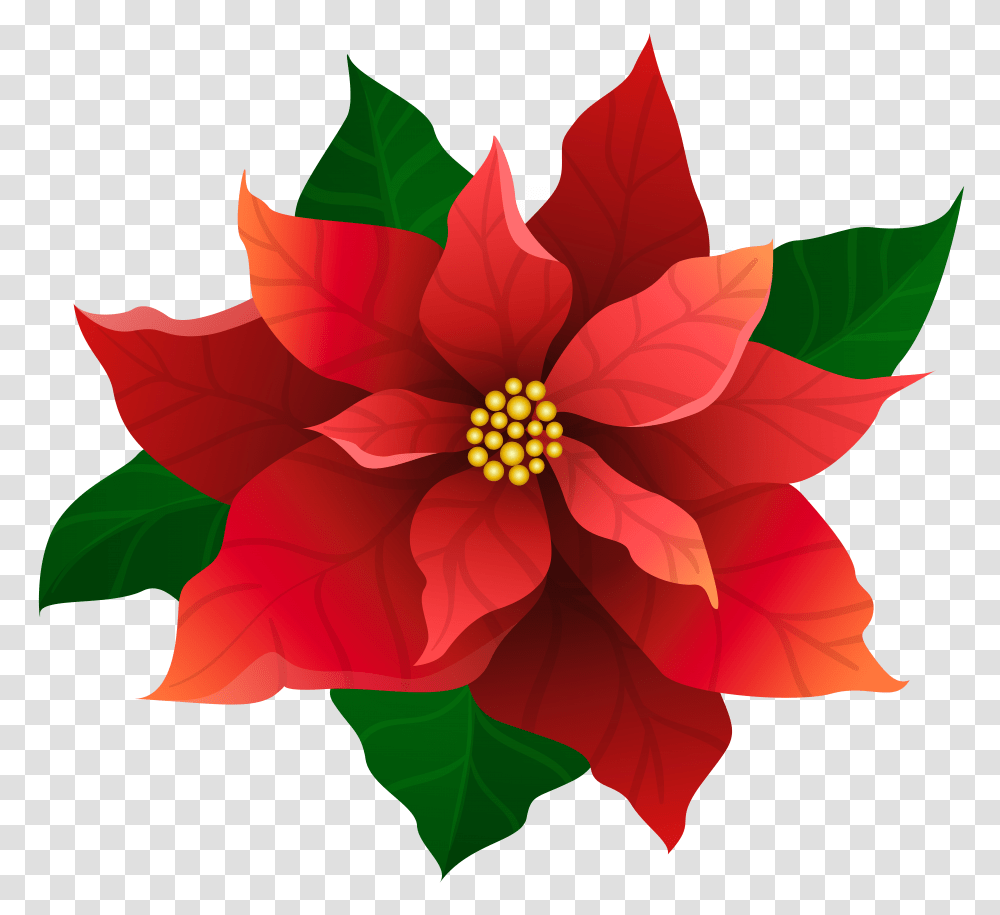 Christmas Poinsettia Red Clip Gallery Transparent Png