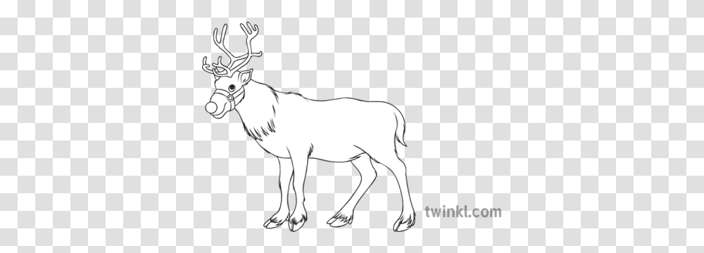 Christmas Reindeer Colouring Black And White Illustration Spirit Of The Union Logo, Mammal, Animal, Wildlife, Horse Transparent Png