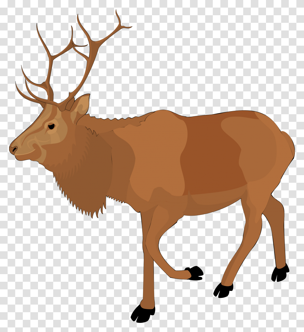 Christmas Reindeer, Elk, Wildlife, Mammal, Animal Transparent Png