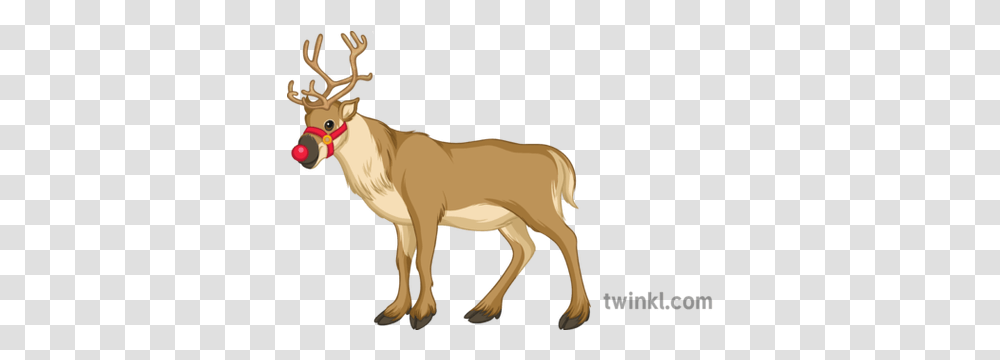 Christmas Reindeer Illustration Animal Figure, Mammal, Wildlife, Antelope, Horse Transparent Png