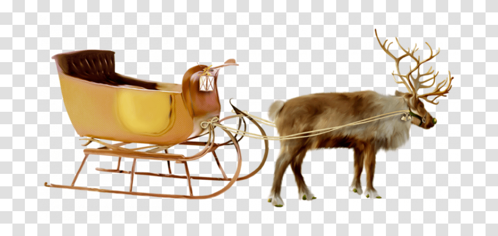 Christmas Santa Deer, Chair, Furniture, Dog, Pet Transparent Png