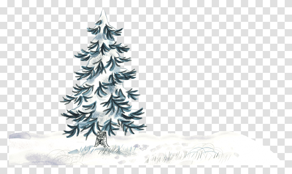 Christmas Scene Photo Background Christmas Tree, Plant, Fir, Abies, Outdoors Transparent Png
