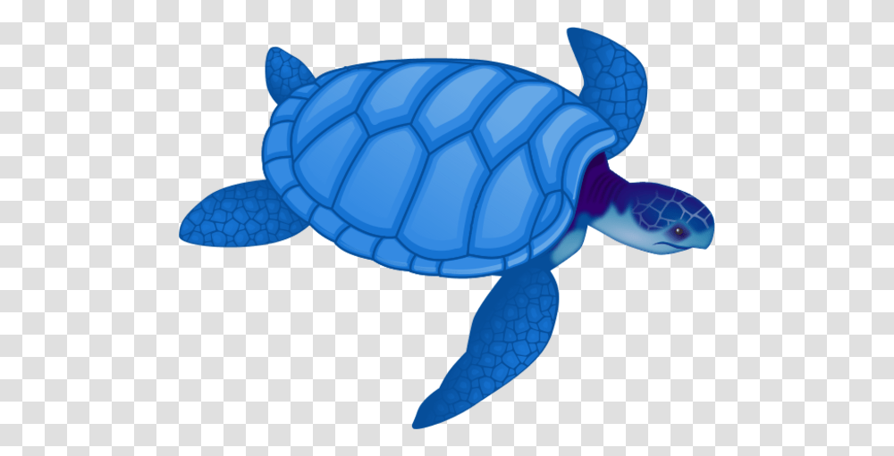 Christmas Sea Turtle Clipart, Reptile, Sea Life, Animal, Tortoise Transparent Png