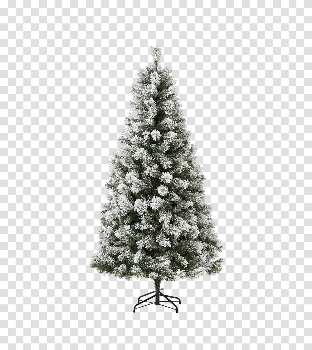 Christmas Shop Online & Instore Farmers Nz 5ft Christmas Trees For Sale, Ornament, Plant, Pine, Fir Transparent Png