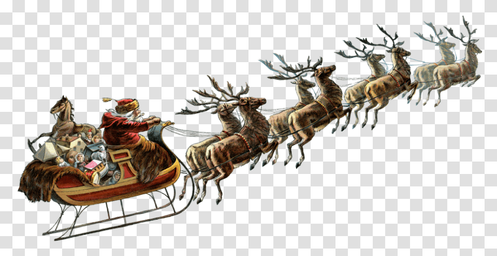Christmas Sleigh Hd Pictures Vhvrs Santa Claus Sleigh, Animal, Wasp, Bee, Insect Transparent Png