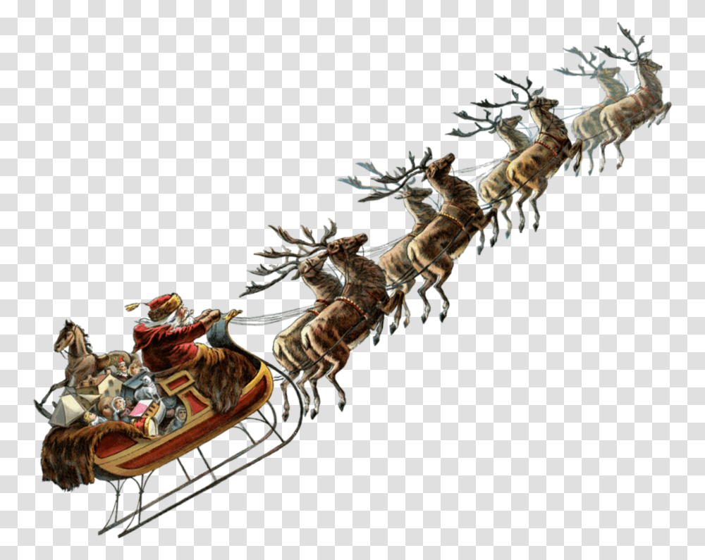 Christmas Sleigh Reindeer, Honey Bee, Insect, Invertebrate, Animal Transparent Png