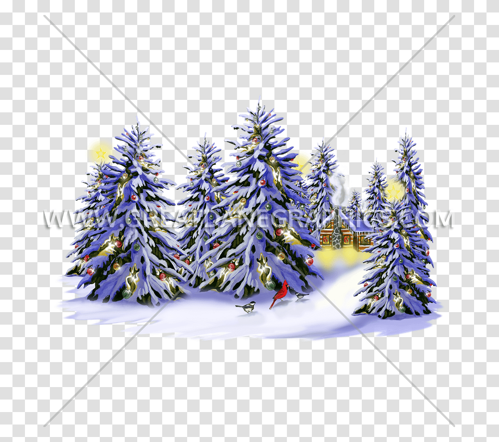 Christmas Snow Trees Production Ready Artwork For T Shirt, Plant, Ornament, Christmas Tree, Pine Transparent Png
