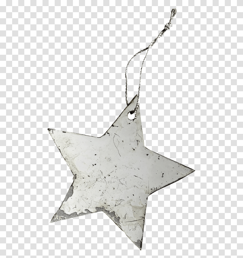 Christmas Star Antique Mirror Construction Paper, Leaf, Plant, Bird, Animal Transparent Png