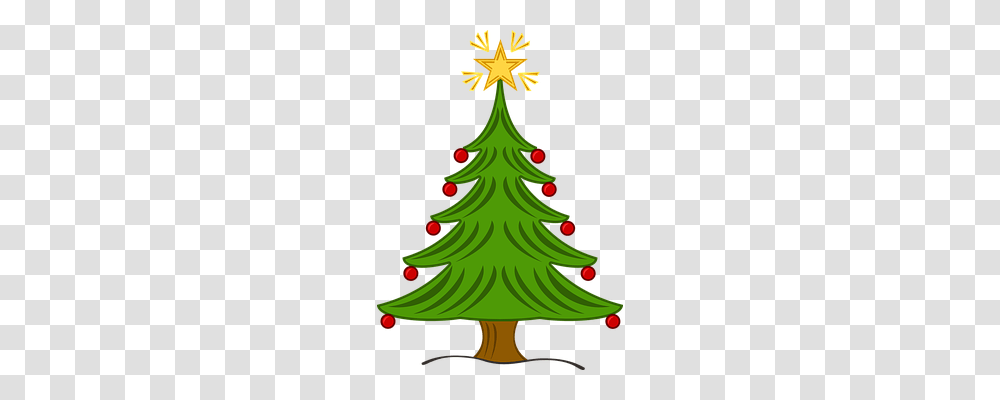 Christmas Tree Holiday, Plant, Ornament, Star Symbol Transparent Png