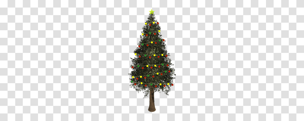 Christmas Tree Holiday, Ornament, Plant, Pine Transparent Png