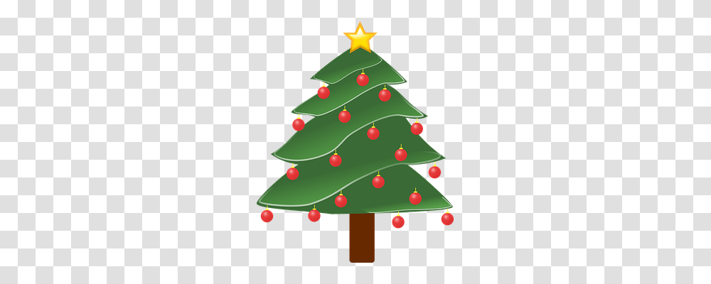 Christmas Tree Nature, Plant, Ornament, Star Symbol Transparent Png