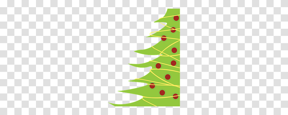 Christmas Tree Holiday, Plant, Leaf, Ornament Transparent Png
