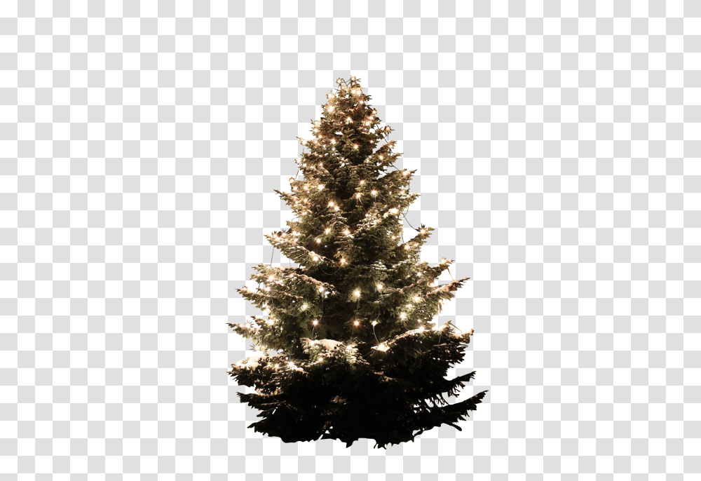 Christmas Tree Clip, Holiday, Plant, Ornament, Fir Transparent Png