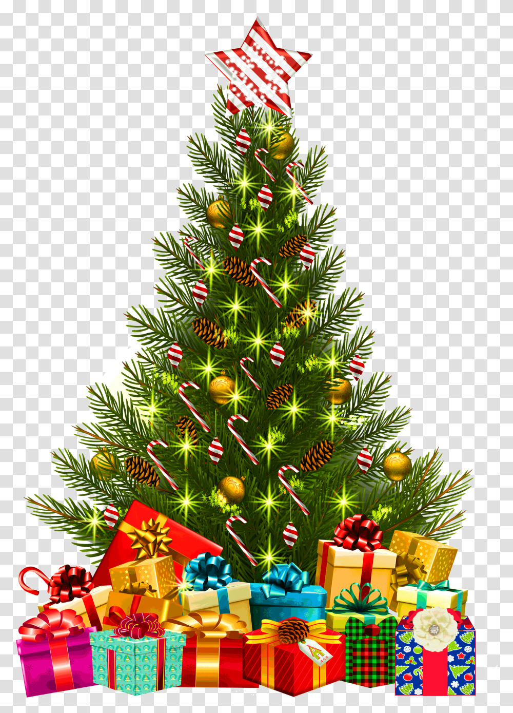 Christmas Tree Amp Presents, Ornament, Plant, Vegetation, Fir Transparent Png