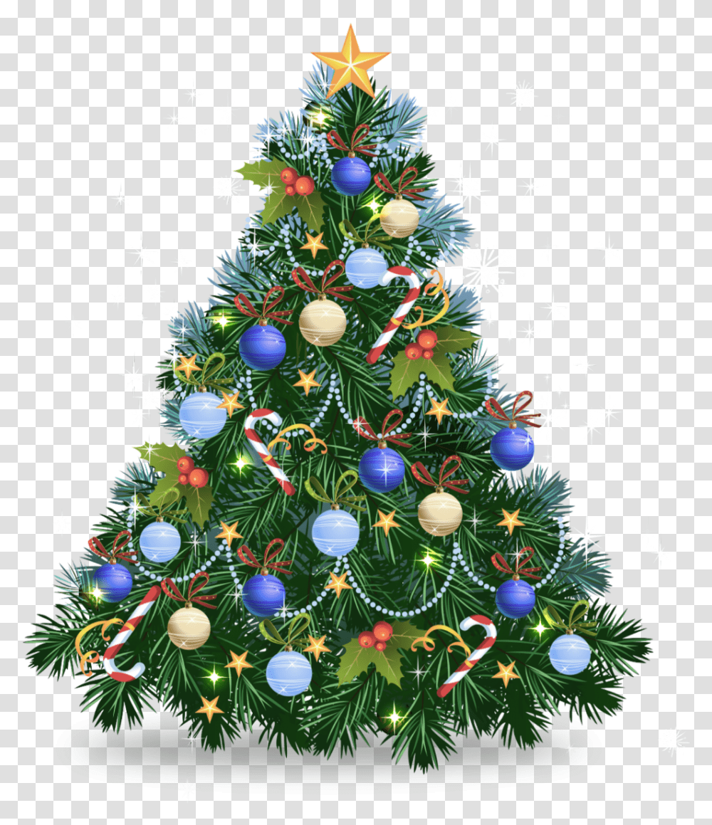 Christmas Tree Blue Christmas Ornament Christmas Tree Images, Plant, Star Symbol Transparent Png