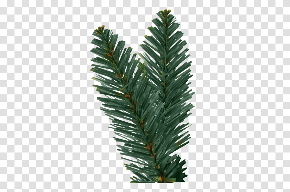 Christmas Tree Branch 1 Image Christmas Tree Leaves, Fir, Plant, Abies, Spruce Transparent Png