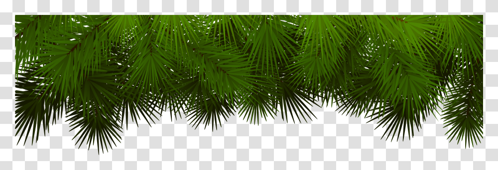 Christmas Tree Branch Christmas Tree Branches Transparent Png