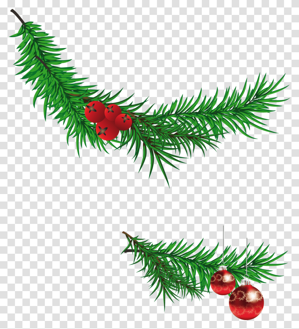 Christmas Tree Branch Clipart, Plant, Conifer, Fir, Lighting Transparent Png