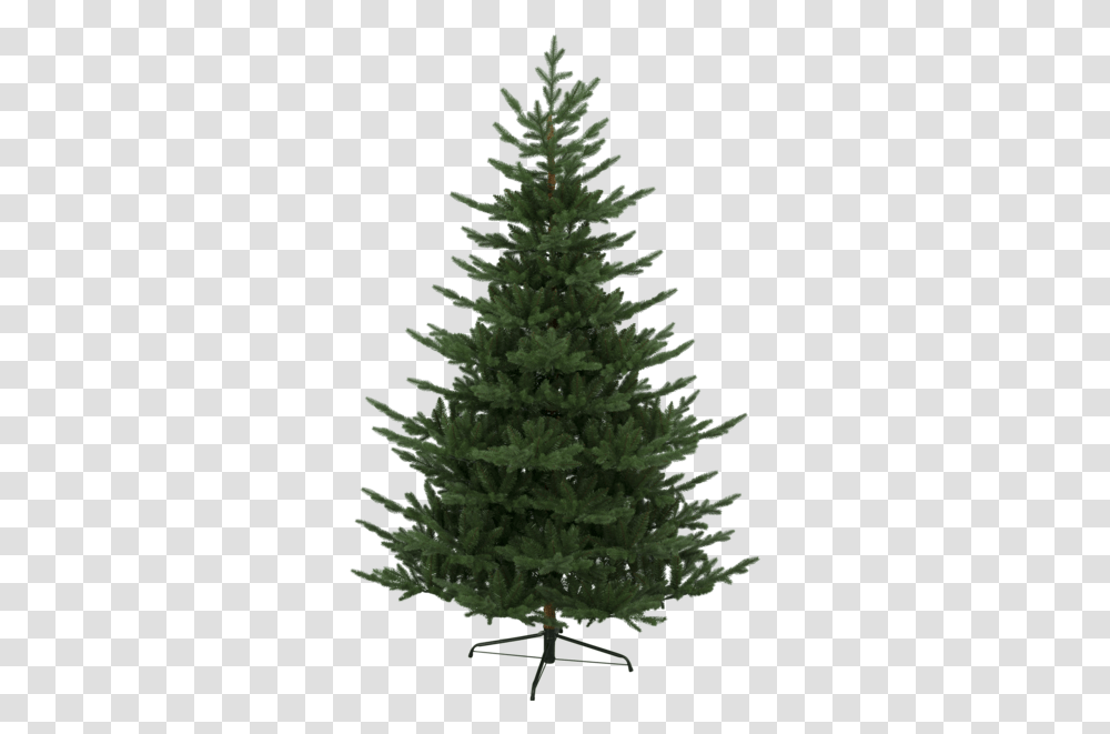 Christmas Tree Branch Pine Tree On White Julgran Naturligt Utseende, Plant, Ornament, Fir, Abies Transparent Png