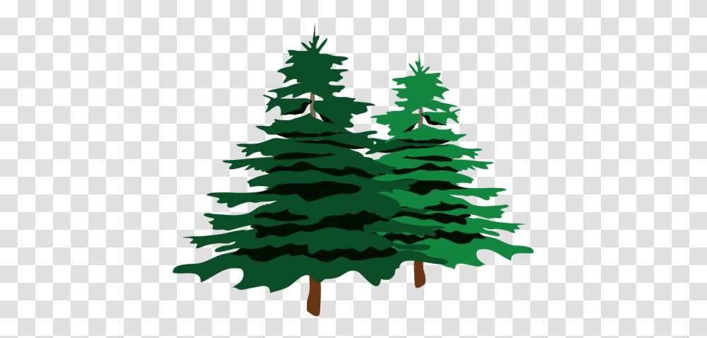 Christmas Tree Branch, Plant, Pine, Ornament, Fir Transparent Png