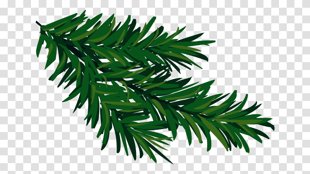 Christmas Tree Branch To Your Desktop Makayla Christmas Tree Branch, Plant, Conifer, Yew, Fir Transparent Png