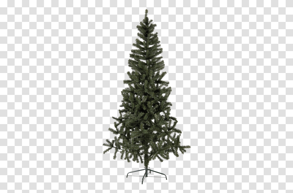 Christmas Tree Canadian Christmas Tree, Ornament, Plant, Pine, Fir Transparent Png