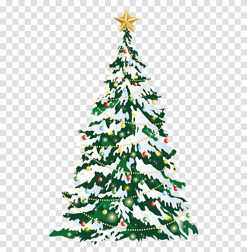 Christmas Tree Christmas Card Clip Art Large Christmas Tree Clipart, Ornament, Plant, Star Symbol Transparent Png