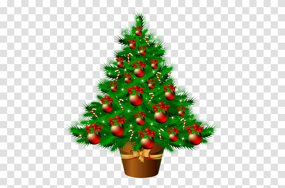 Christmas Tree Christmas Christmas Ornament Christmas Day, Plant Transparent Png