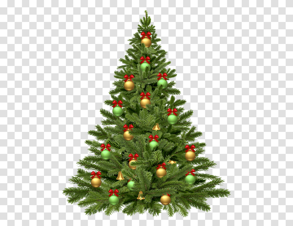 Christmas Tree Christmas Tree, Ornament, Plant, Pine Transparent Png
