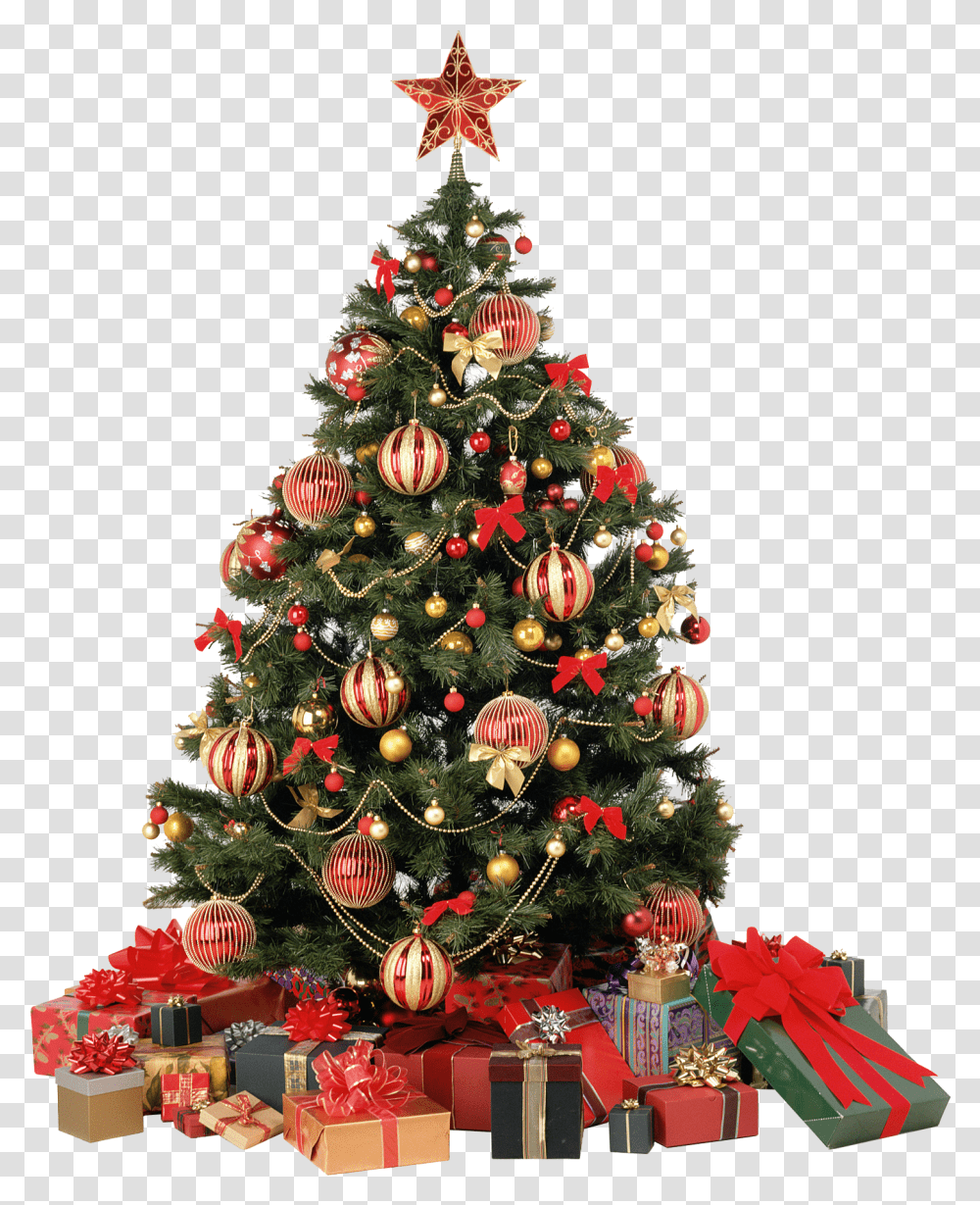 Christmas Tree Christmas Tree, Ornament, Plant Transparent Png