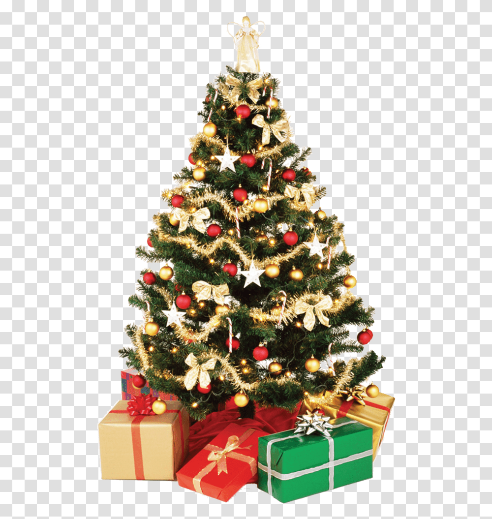 Christmas Tree Christmas Tree, Ornament, Plant Transparent Png