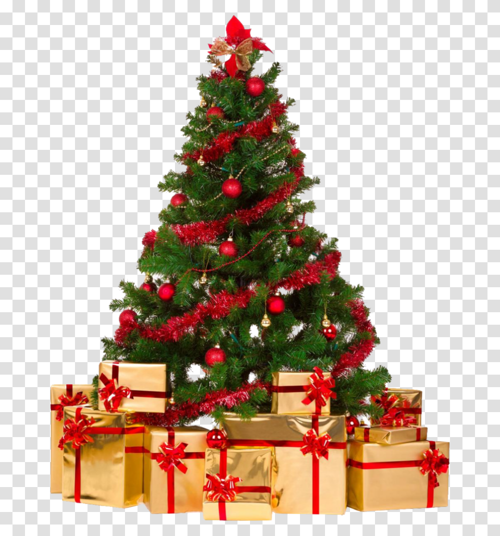 Christmas Tree Christmas Tree, Ornament, Plant, Vegetation, Gift Transparent Png