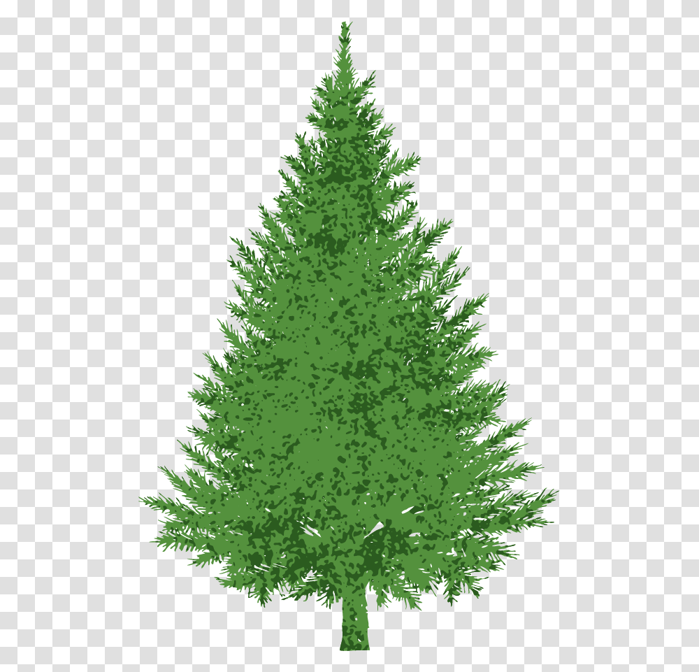Christmas Tree Christmas Tree Plain, Ornament, Plant, Conifer, Fir Transparent Png