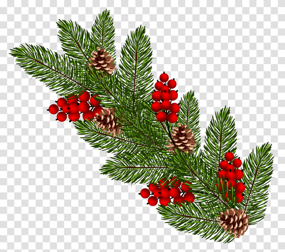 Christmas Tree Clipart Branches Christmas Tree Branch Clipart Transparent Png