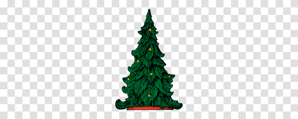 Christmas Tree Clipart Free Download, Ornament, Plant, Pine Transparent Png