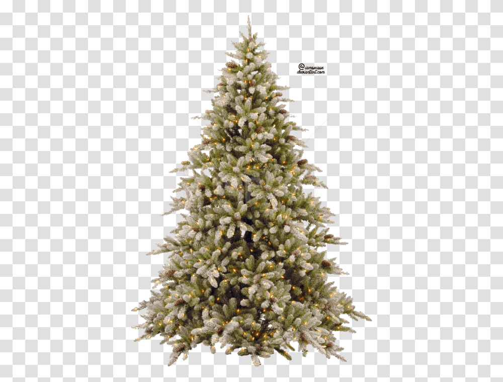 Christmas Tree Clipart Photo Christmas Tree Free, Ornament, Plant, Pine, Conifer Transparent Png